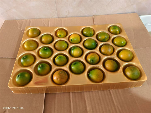 果框
